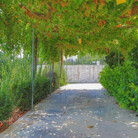 Villa Aphrodite Finiki Πόλη Εξωτερικό φωτογραφία