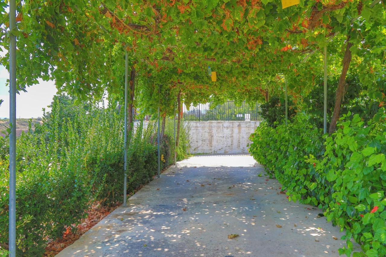 Villa Aphrodite Finiki Πόλη Εξωτερικό φωτογραφία